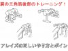 【肩の筋トレ】リアレイズで三角筋後部を鍛える正しいやり方と注意！