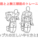 【胸の筋トレ】ディップスで効果的に大胸筋を鍛えるいやり方と注意点
